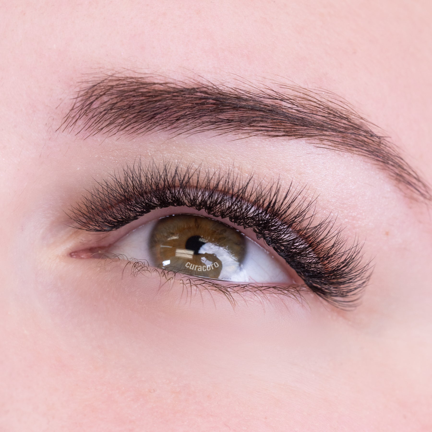 XL Lite Camellia 8D 0.05