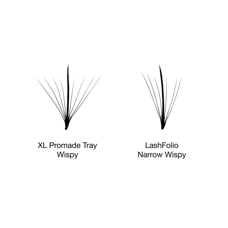 Comparison of a Lashfolio Wispy Spike fan and a XL Promade Tray Wispy fan.