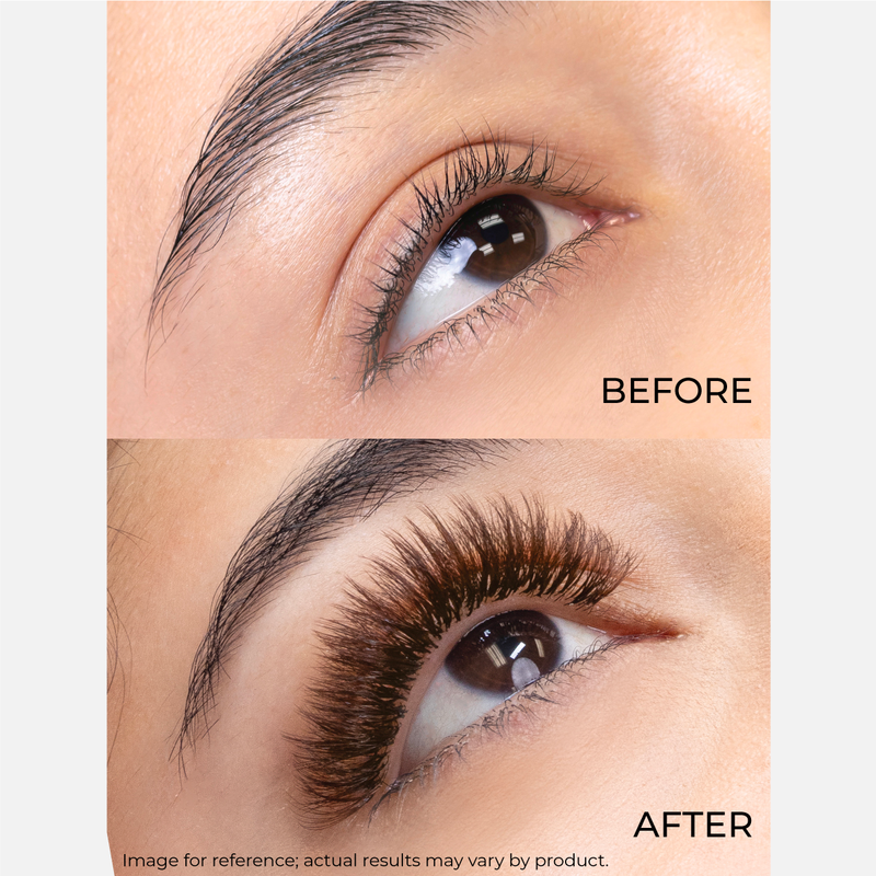 Brown Lashfolio Narrow Promade Fans Model Before & After