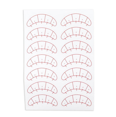 Lash map sticker on a white background. 