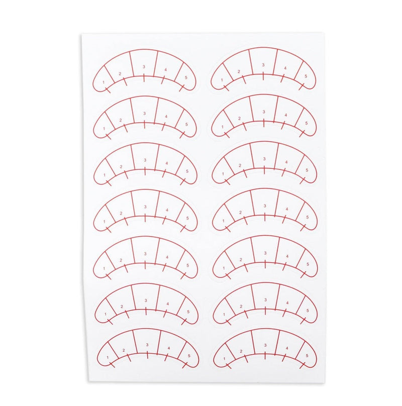 Lash map sticker on a white background. 