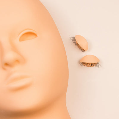 Where to fit the Replacement Lids for Mannequin Head 